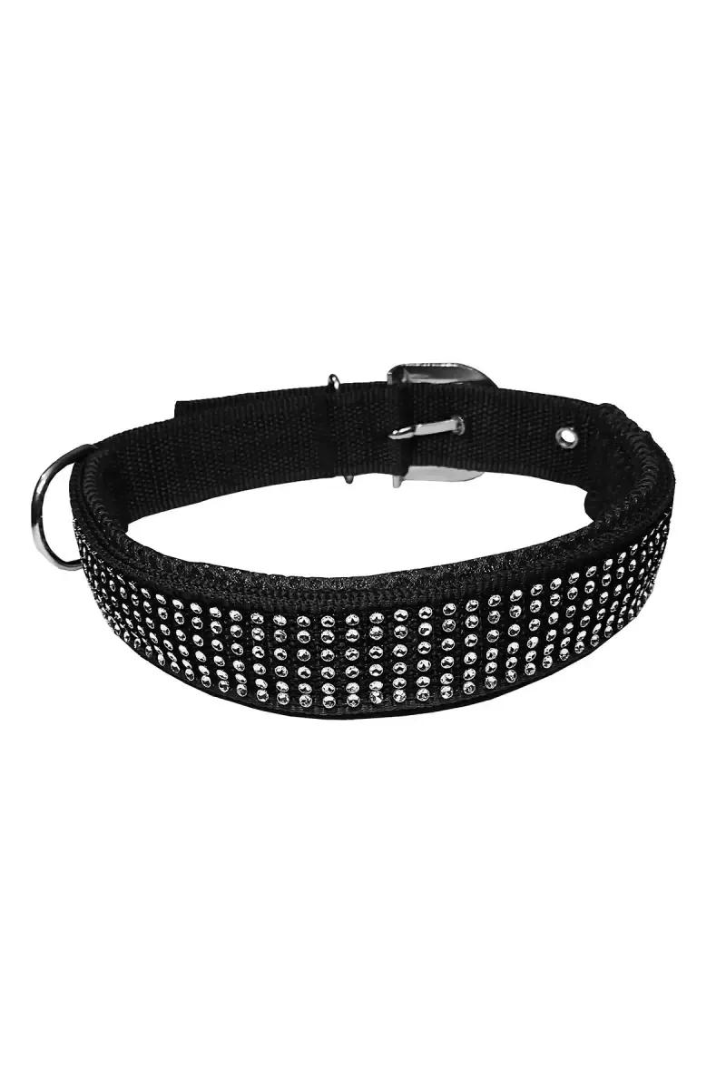 Nylon Mesh Dog Collar & Leash - image 4