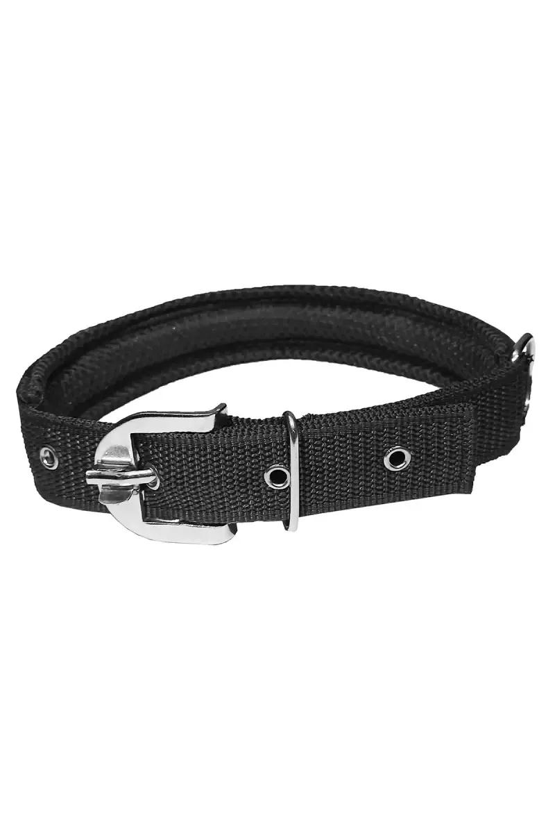 Nylon Mesh Dog Collar & Leash - image 3