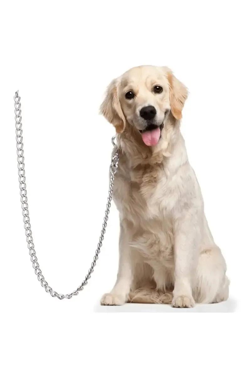 Stainless Steel Dog Leash (Silver) - image 3