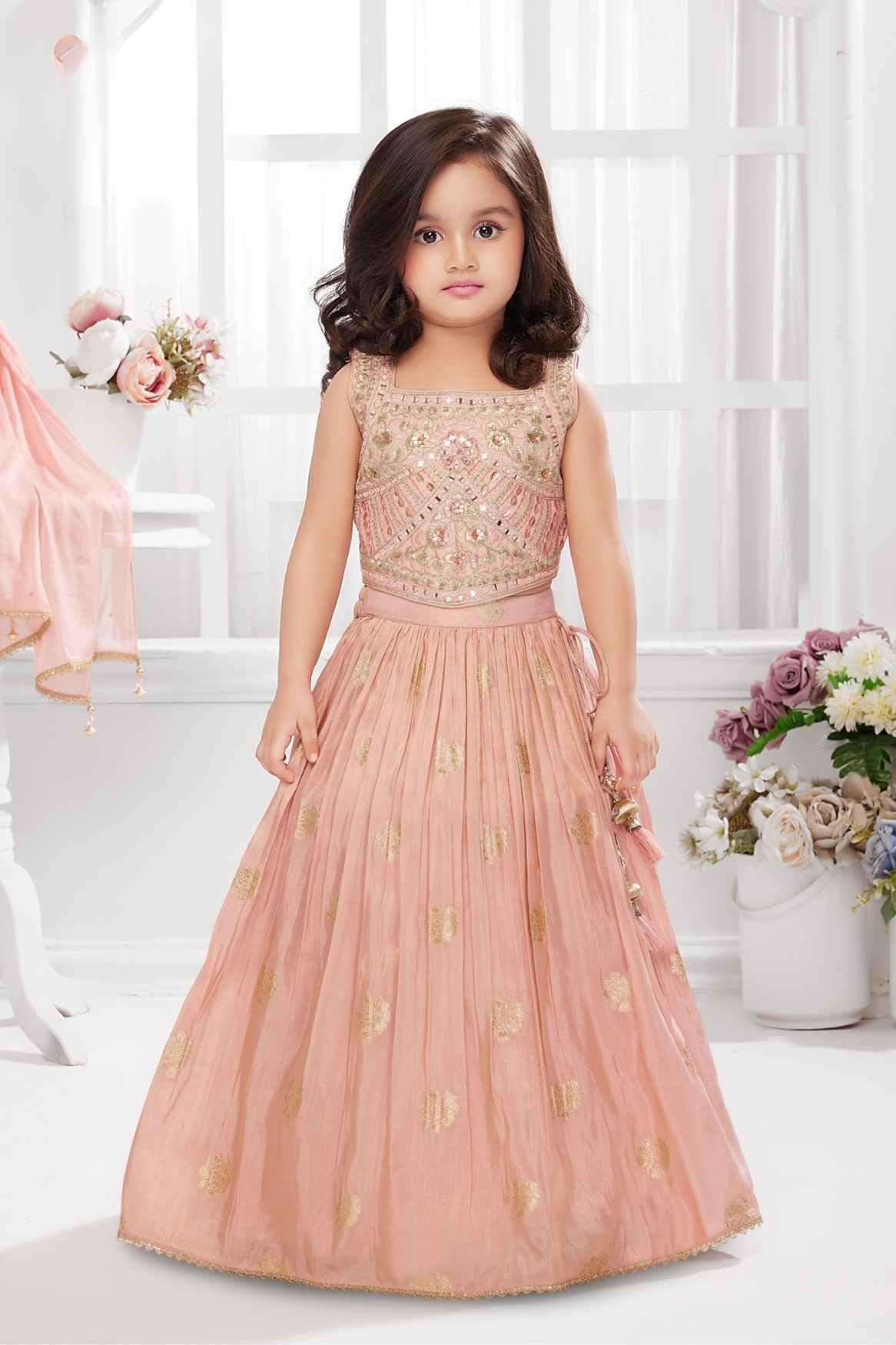 Embroidered And Mirror Work Lehenga Choli - image 1