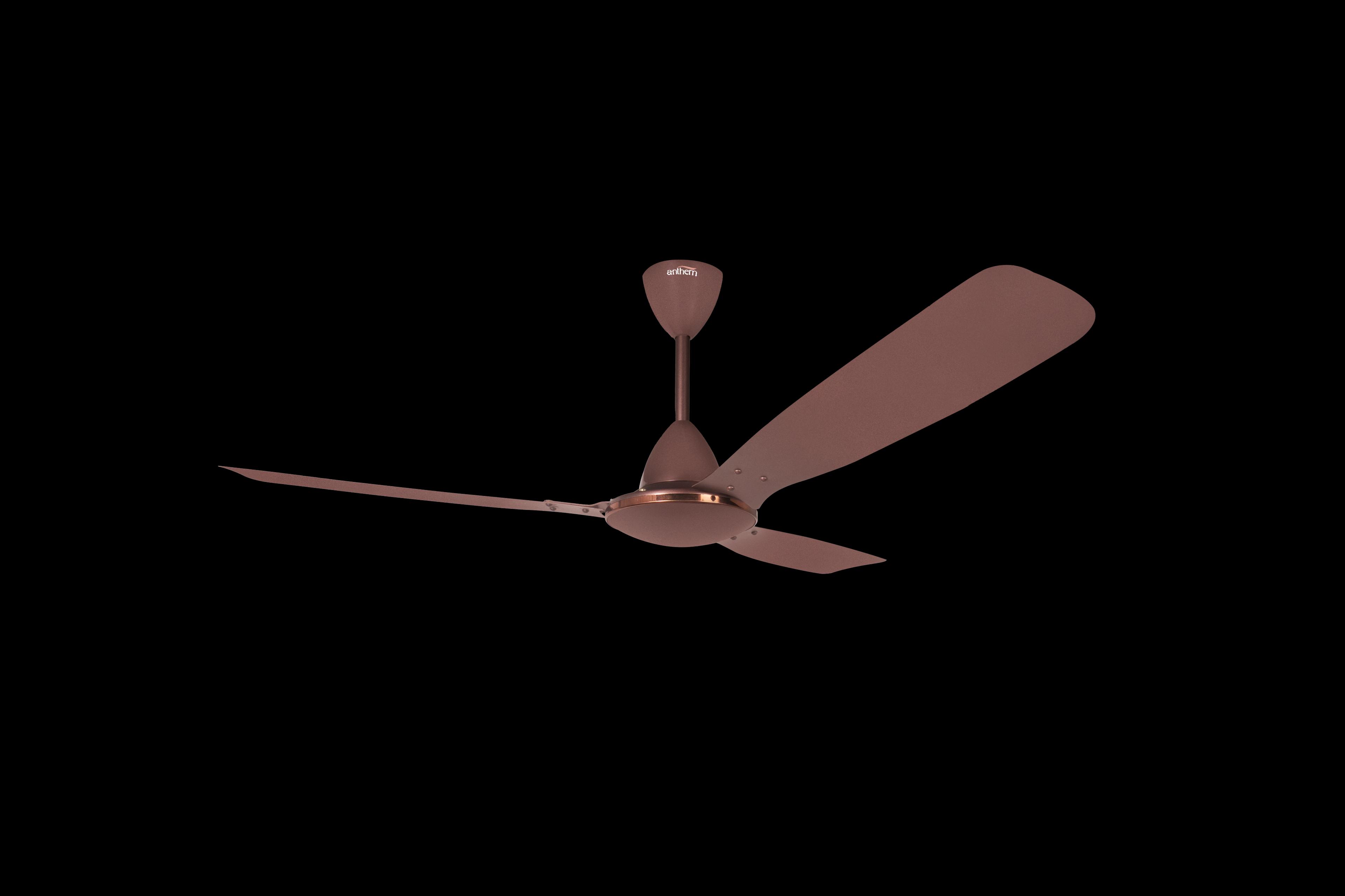 Lara DX - image 1