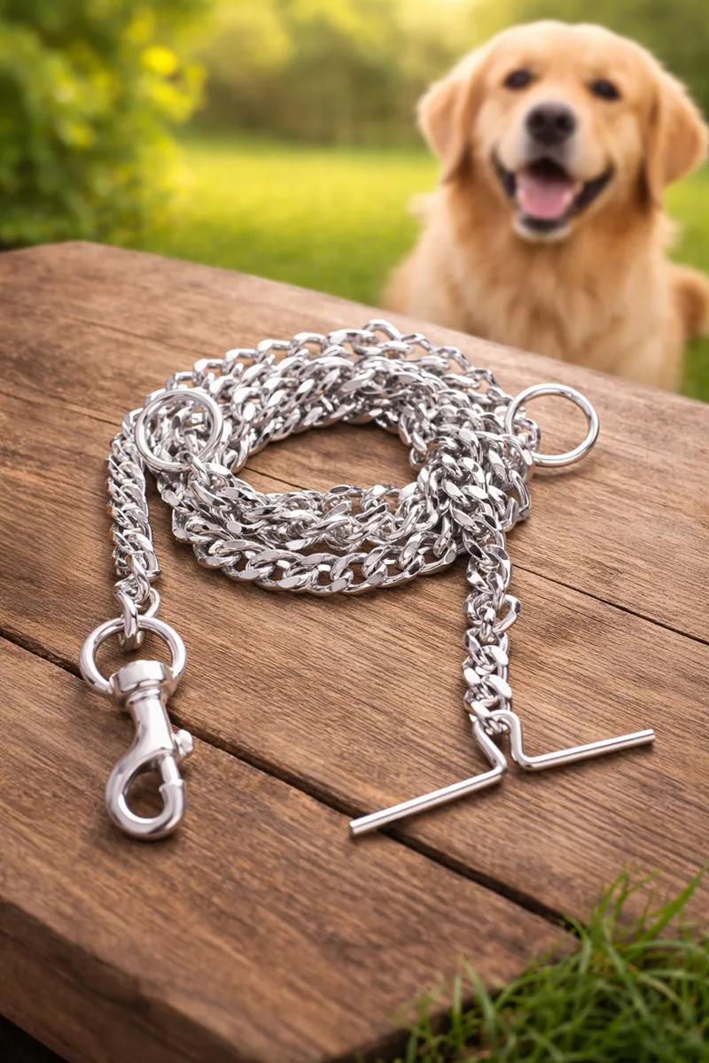 Stainless Steel Dog Leash (Silver) - image 1